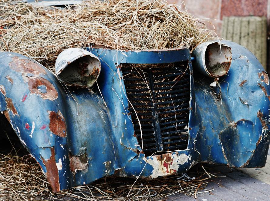 Photo of Old abandoned car with hay on engine to showcase end of life vehicle collection and processing from NP Waste in South Wales